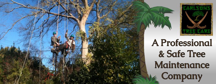 Safe Tree Maintenance Safe Tree Maintenance