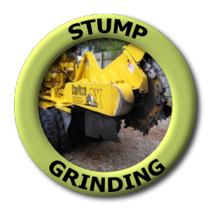 Stump Grinding Stump Grinding