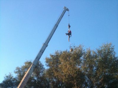 Tree Pruning